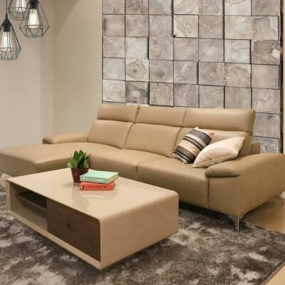 Mẫu SOFA Da VQ-11